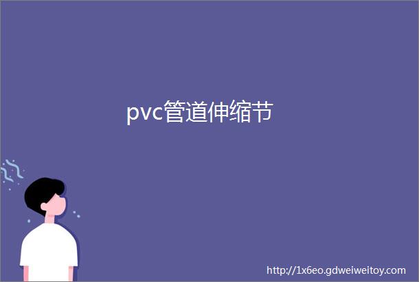 pvc管道伸缩节