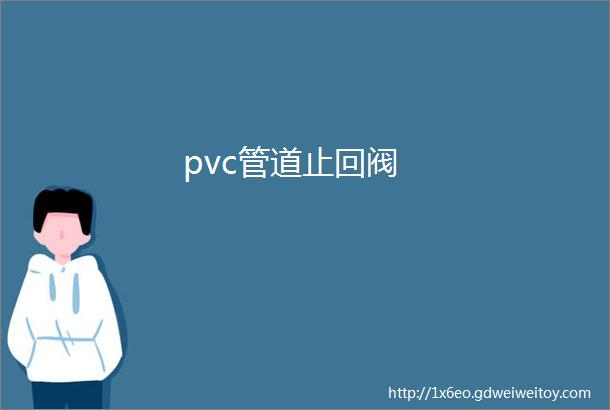 pvc管道止回阀